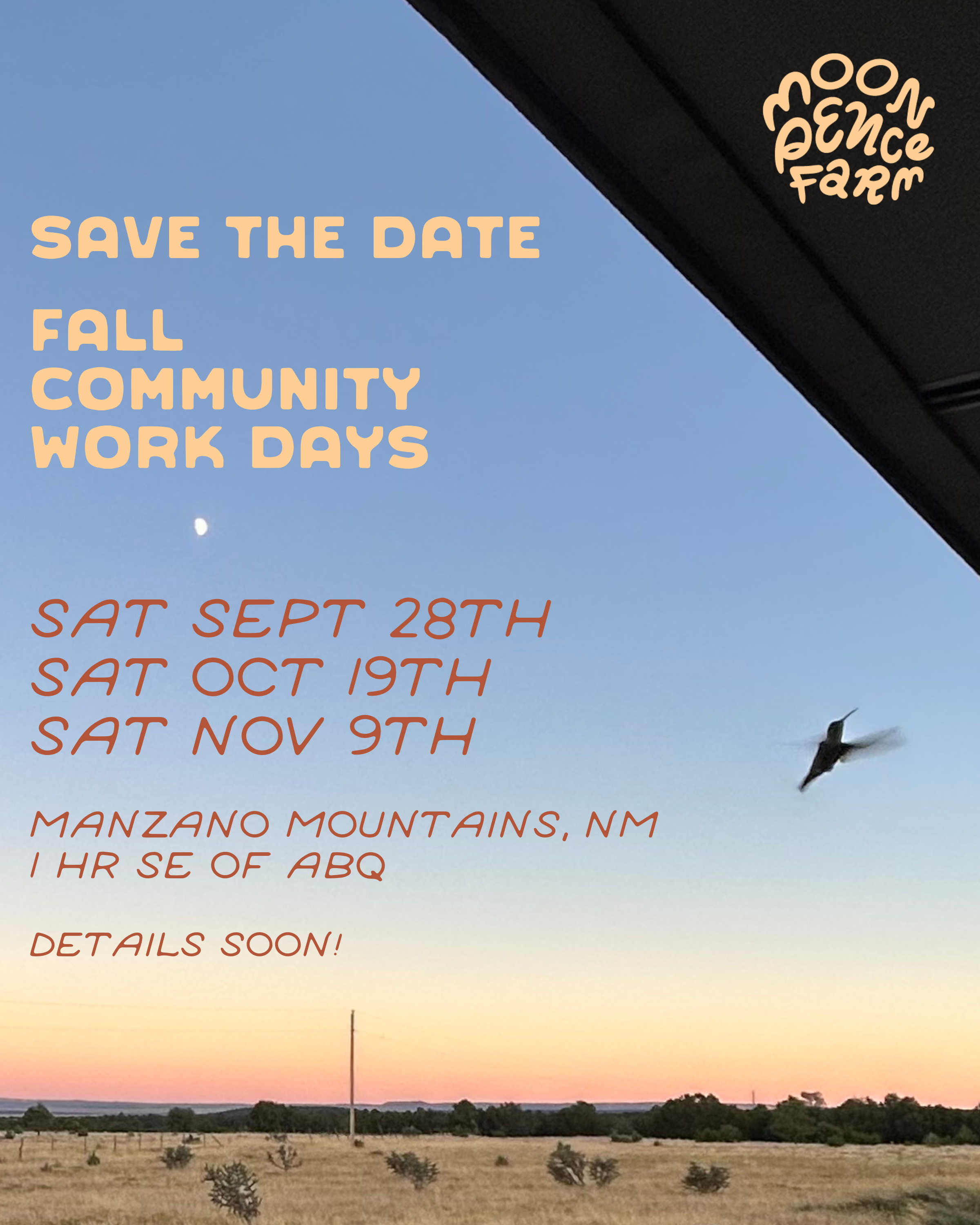 save the date!
