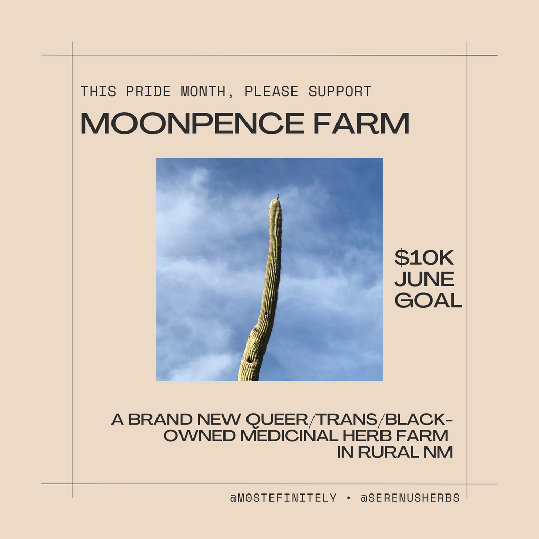 pride month fundraiser