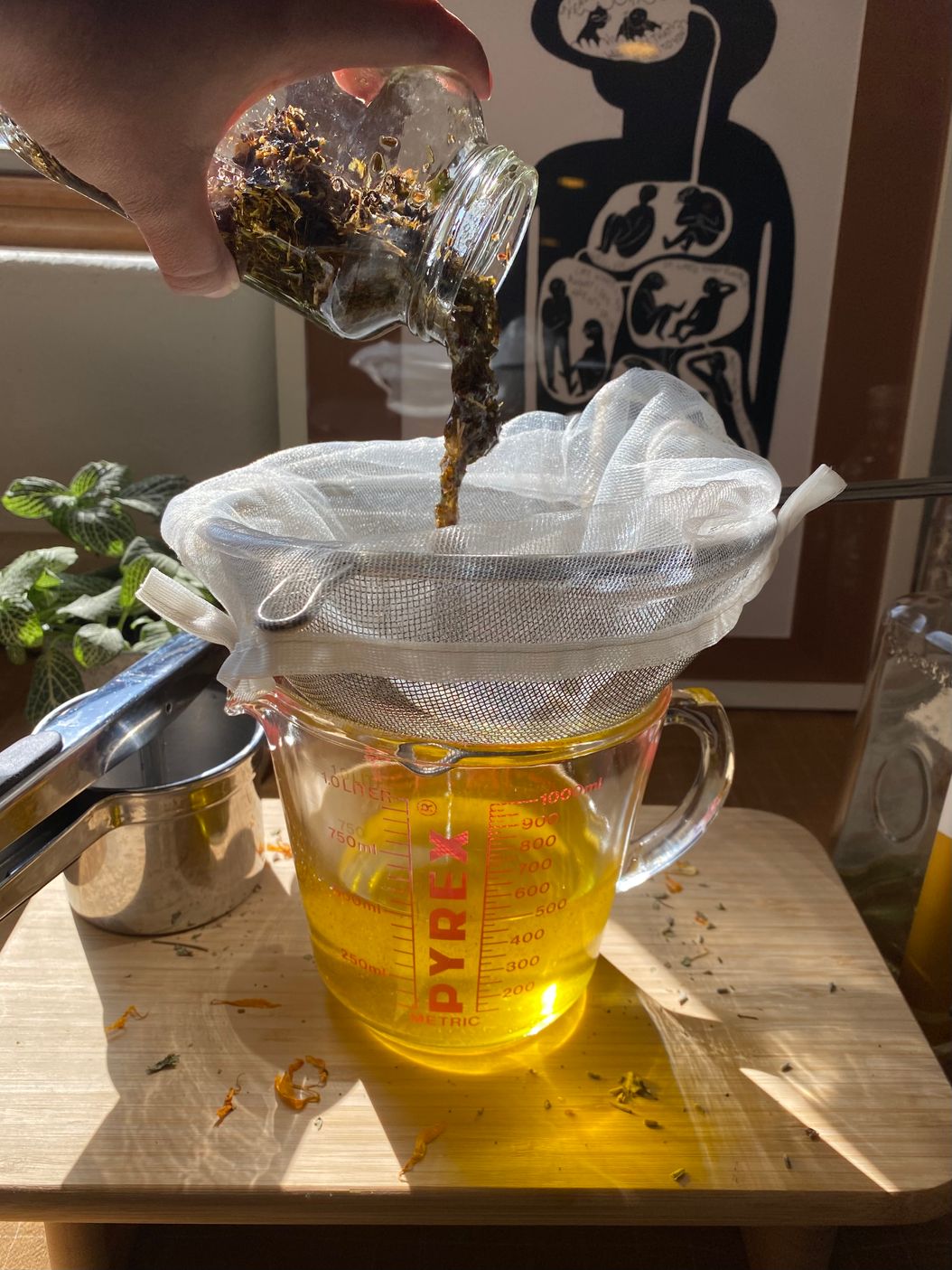 free workshop access for paid members!