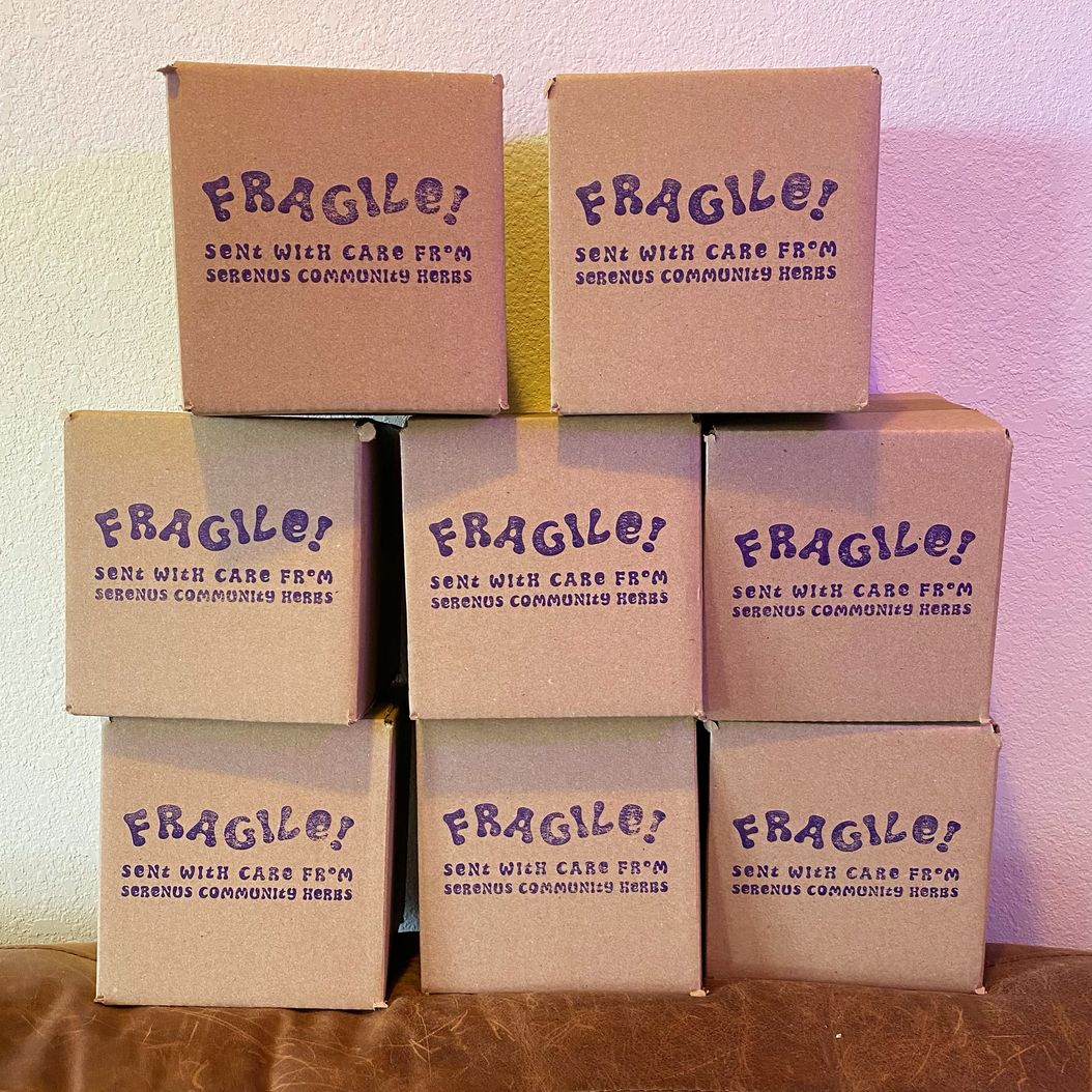 herb bank expansion✨ + spring fundraiser update